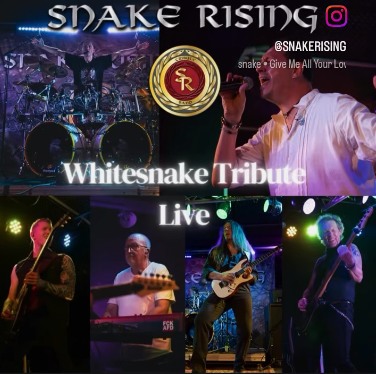 Snake Rising